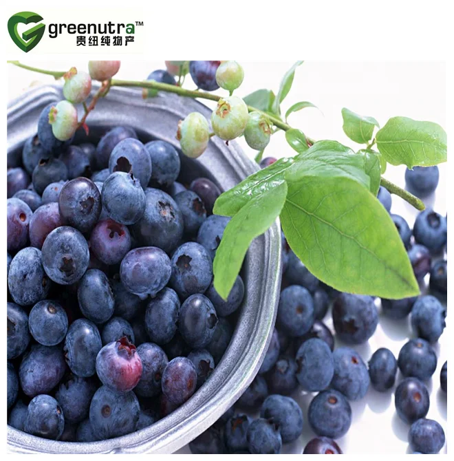 Bilberry Extract Powder