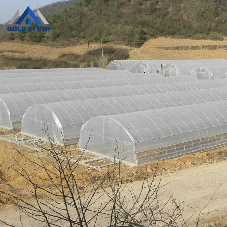 Commercial Medical Hemp Greenhouse with Light Deprivation Blackout System
