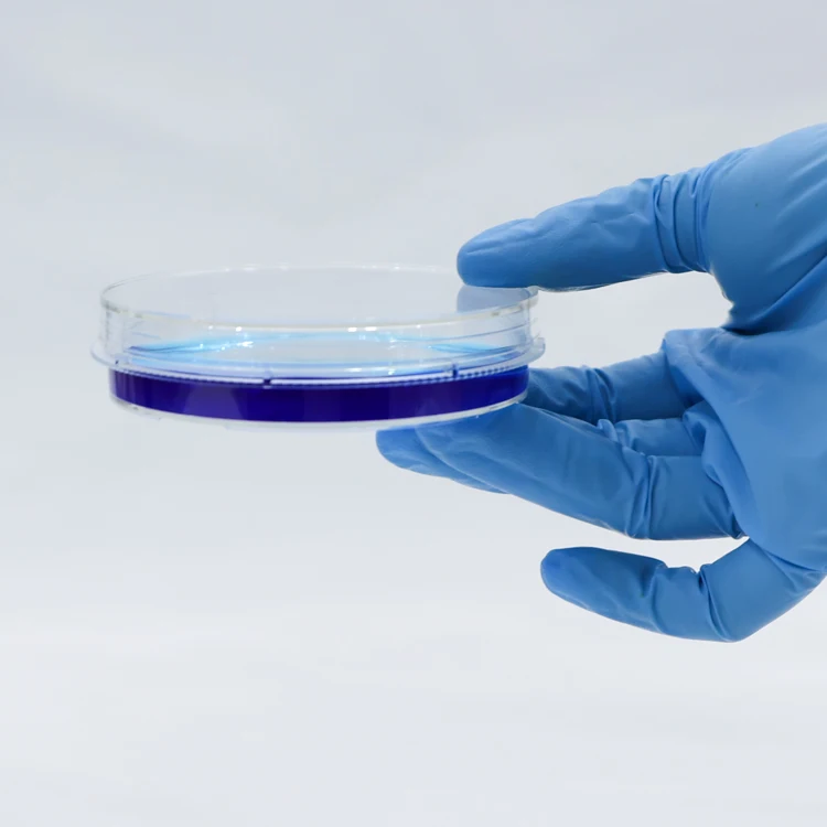 Disposable Laboratory Round or Square  PS 90mm Petri Dish for Bacterial Culture