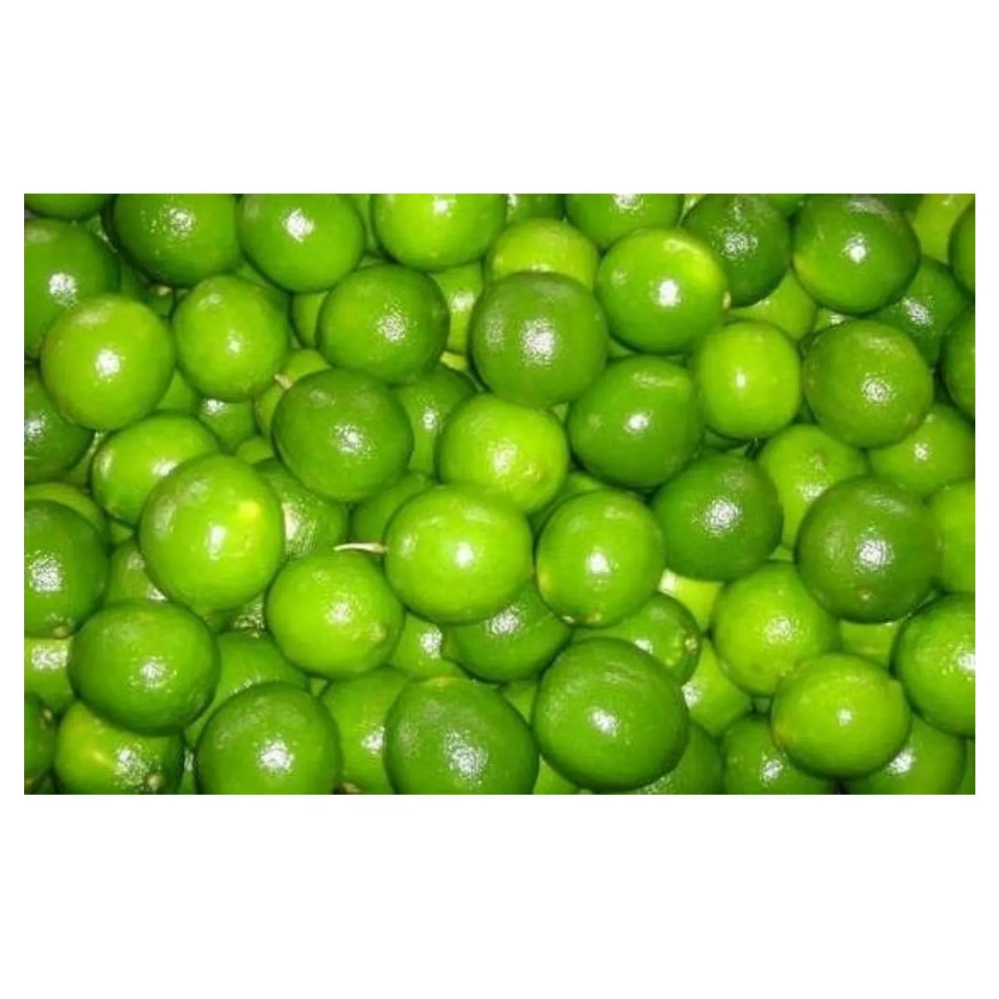 Оптовая продажа, свежий зеленый лайм, цитрусовый лайм, продажа только по низкой цене