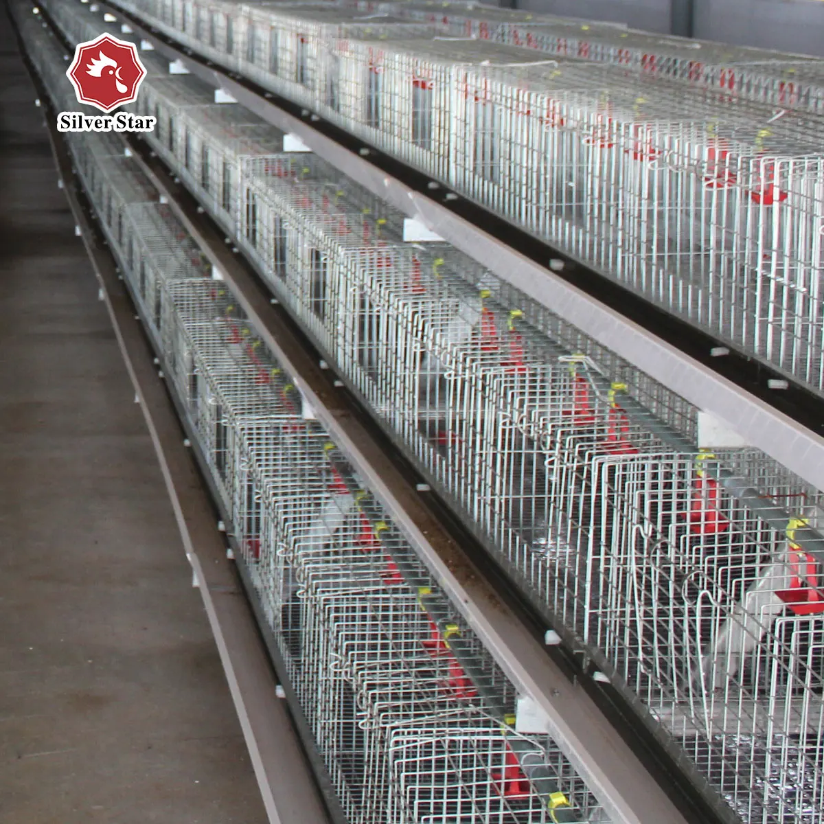 Poultry farm with the equipments/ low cost chicken house /