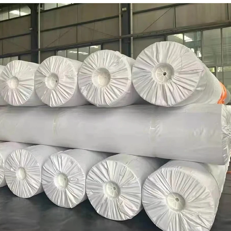 1.5mm 2.0mm HDPE Geomembrane Dam Lining for Landfill Engineering 1.0mm High-density Polyethylene Waterproof Membrane