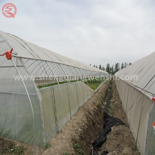  Китайские поставщики оцинкованная сталь Aquaponics пластиковый Тепличный тент для