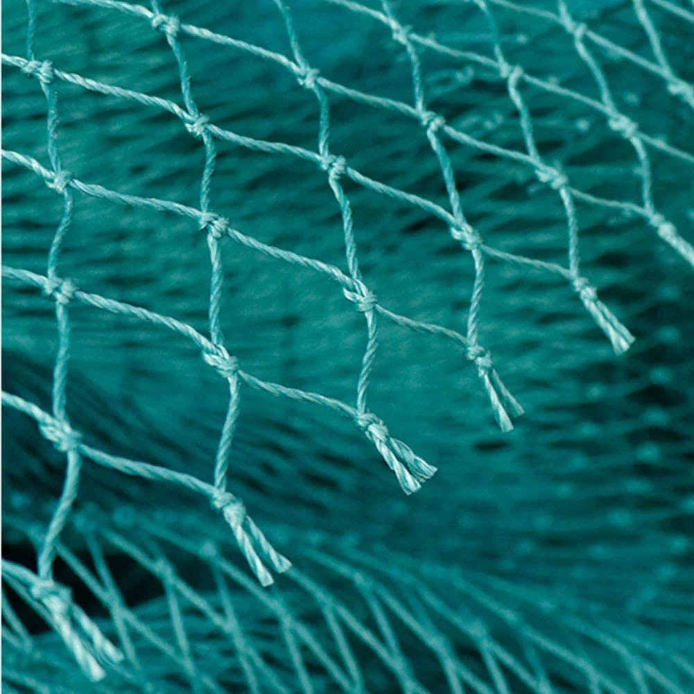 Heavy Black  Anti-Bird Net hdpe Fishing Net  Fruit Trees Protective Net