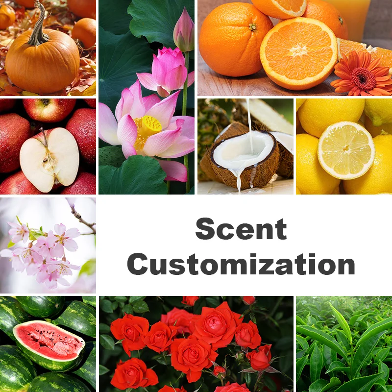 Natural Fragrance Home Decor Rose Custom Air Freshener Toilet Perfume Aroma Reed Diffuser Sticks Reed Diffuser Bottle