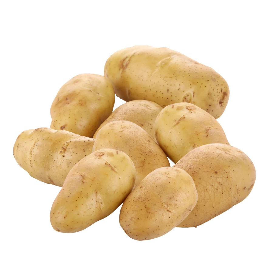 Manufacturers China wholesale fresh commercial potato sweet potato