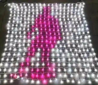 pixel net light.jpg