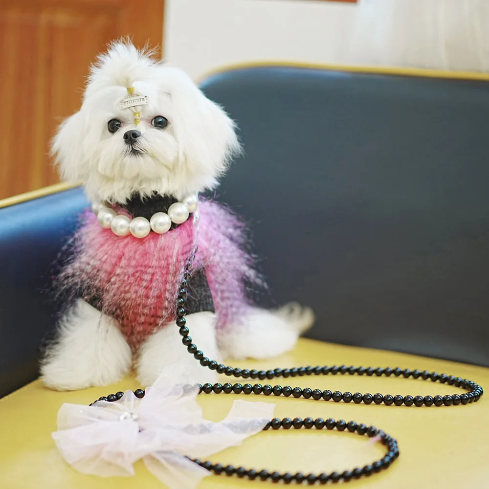 2023 New design colorfully cute pet collar leashes dog collar and leash set