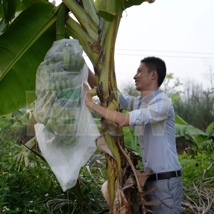
Garden Biodegradable Non Woven Fabric Fruit Protection Bags Banana Grow 