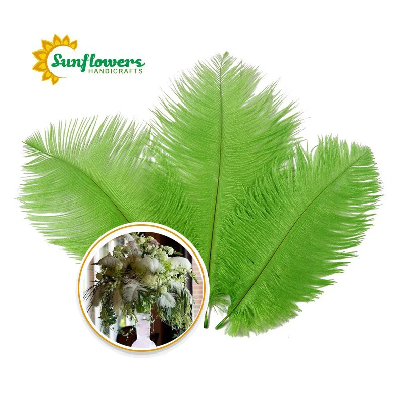 Green Ostrich Feathers Green for Wedding Decorations