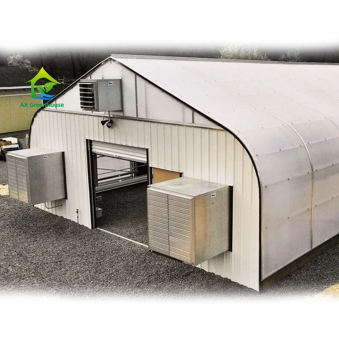 
Medical Plant Growing Fully Auto Blackout Shading Polycarbonate Greenhouse 