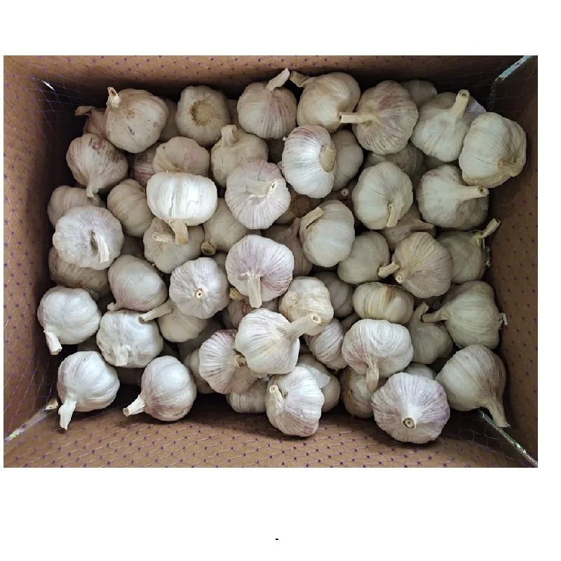 Чеснок из Китая по оптовой цене от чеснока
