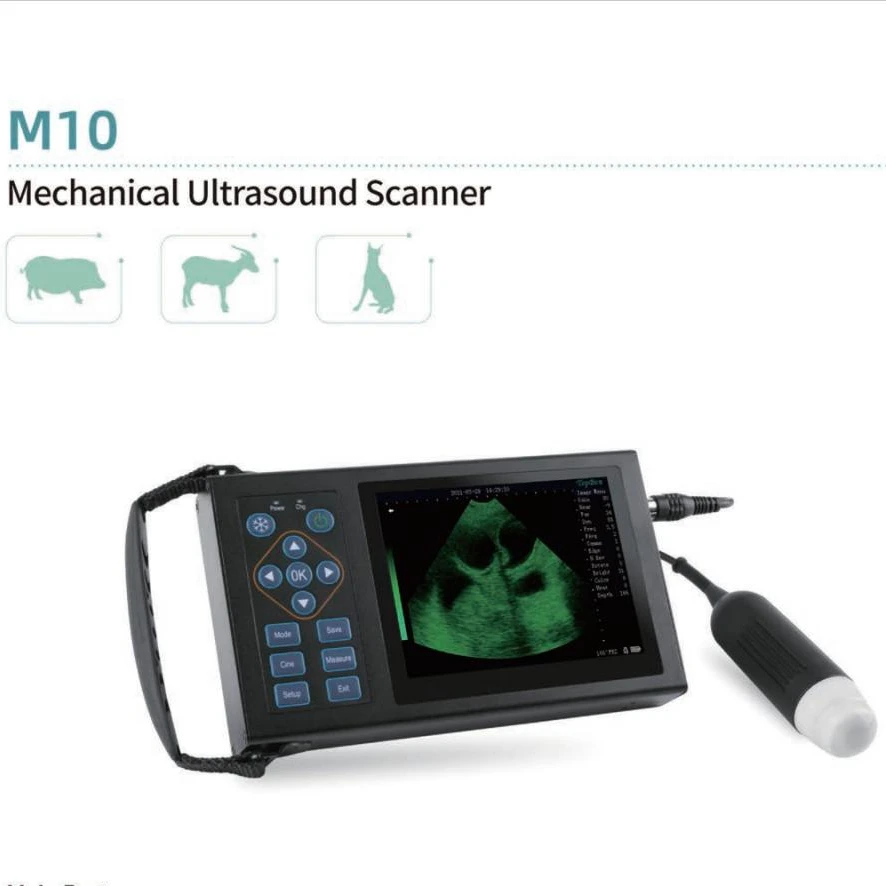 cheap animal vet veterinary B ultrasound  portable  ultrasound