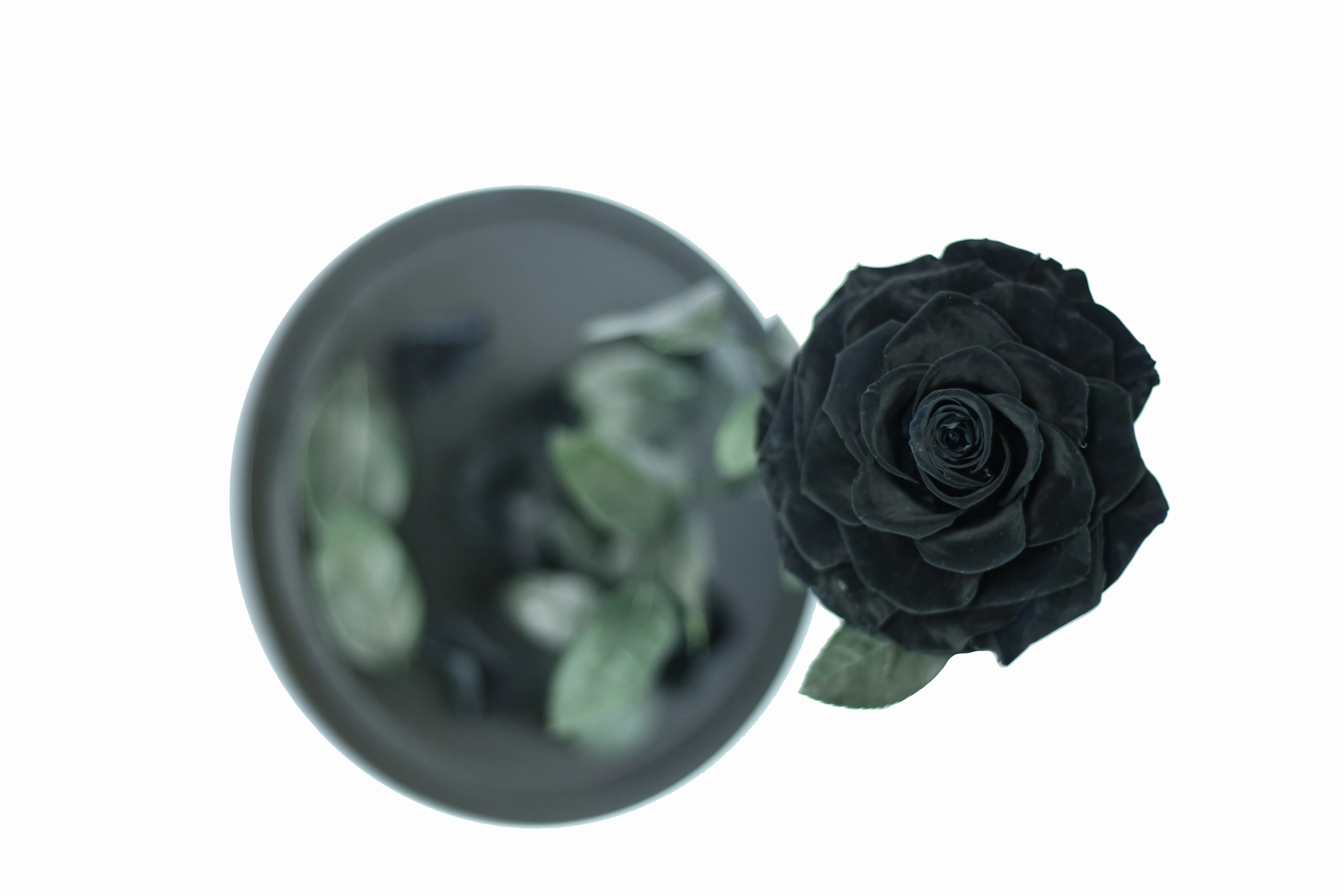 
Drop shipping Hot sale Real Carnation base in the glass 1 pc big flash preserved flower cardboard boxes for flowers 