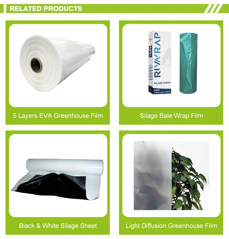 panda film black and white