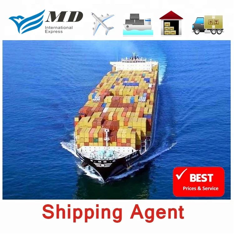 Meidi Door To Door Sea Shipping China Ship To Qatar By Chinese Shipping Agent To Qatar Freight Forwarder DDP
