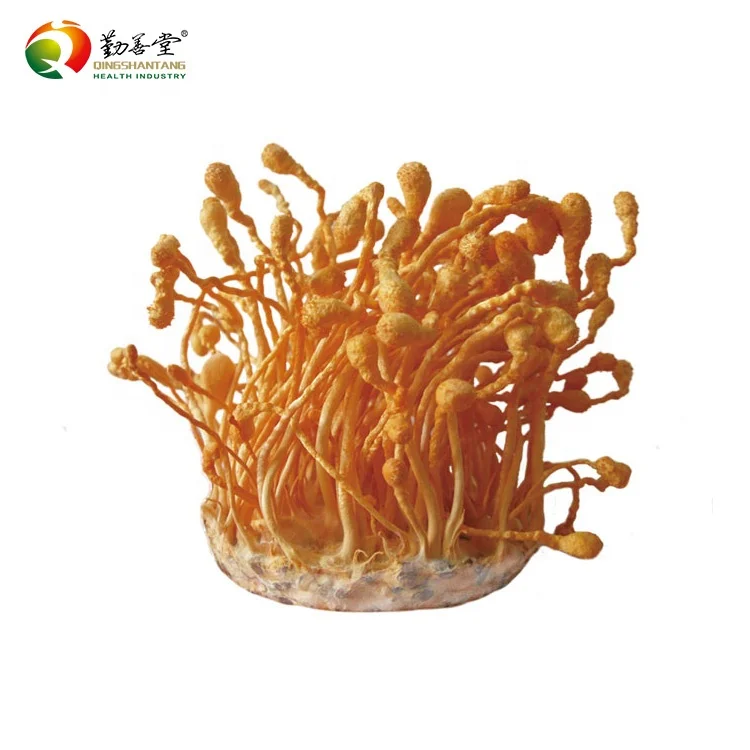 Экстракт Cordyceps Militaris капсулы китайские гусеничные грибки мягкие кордицепс Sinensis