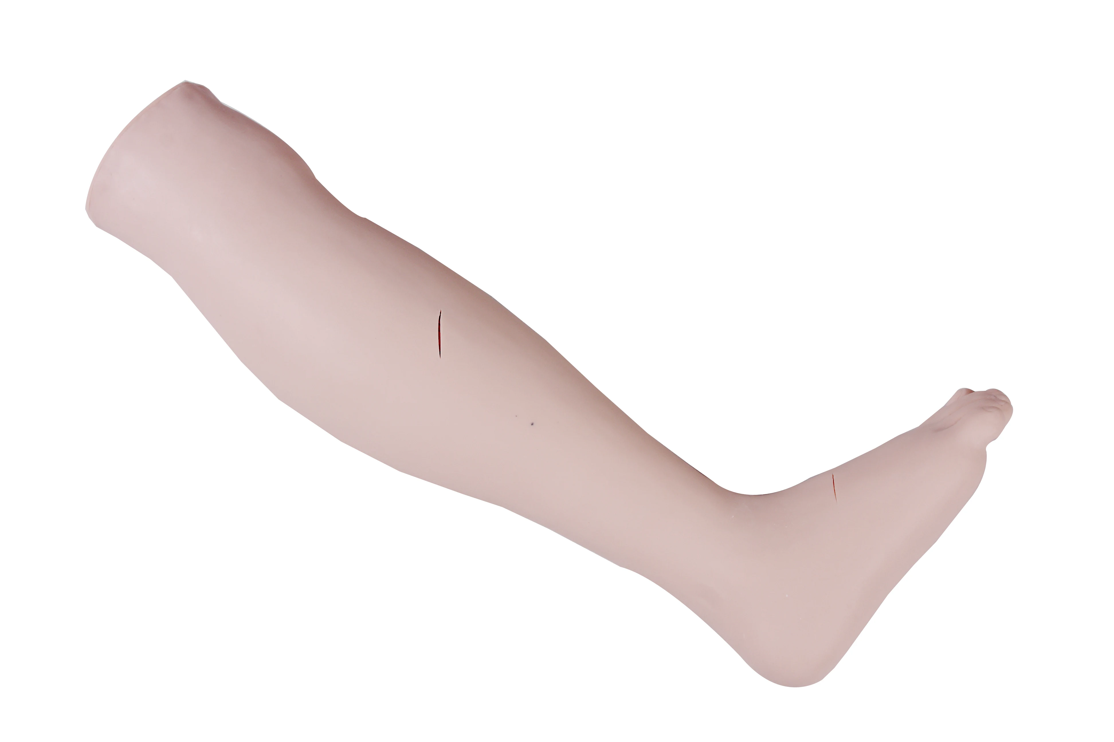 DM-CS6203-2.jpg