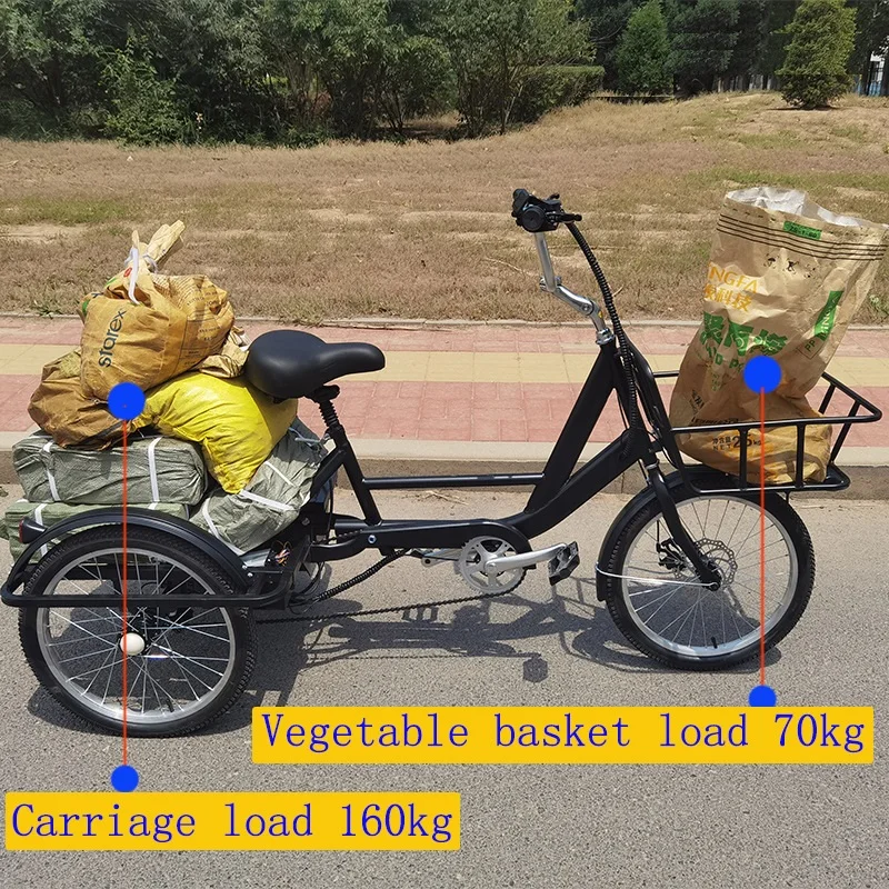 Electric Trike 48V 250W/500W Electric Tricycle 3wheel Cargo Bike With Rear Suspension For Adult