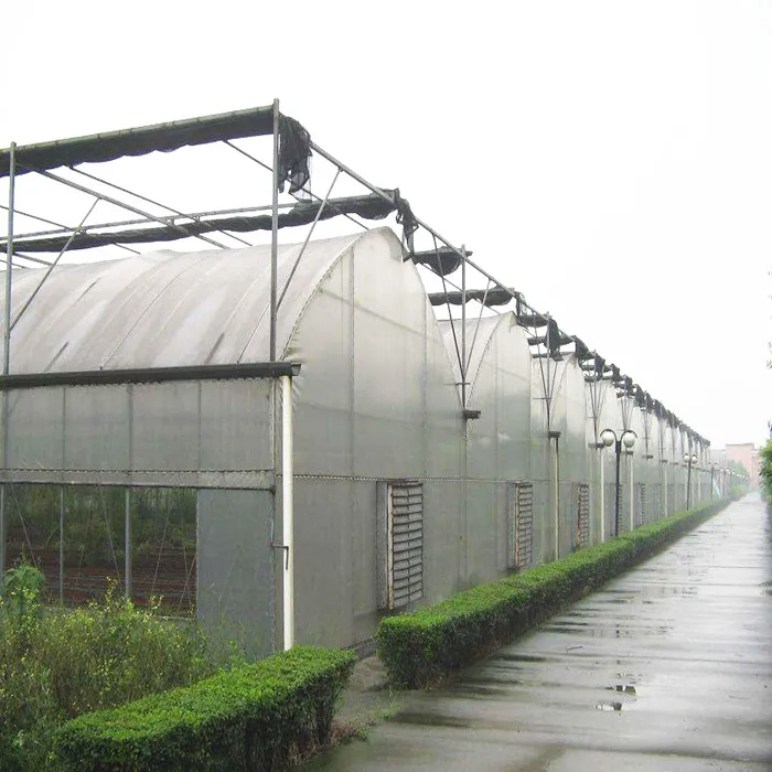 
Factory Sale Various Agricultural Tunnel Greenhouse Commercial Garden Greenhouse Flower House 