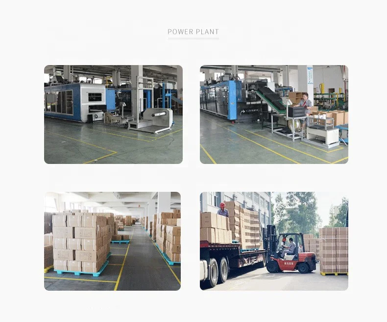 Extra Strength Durable Microgreen Growing Seedling Trays Plastic Nursery 200 288 Cells Nursery Seed Plug Trays For Propagation