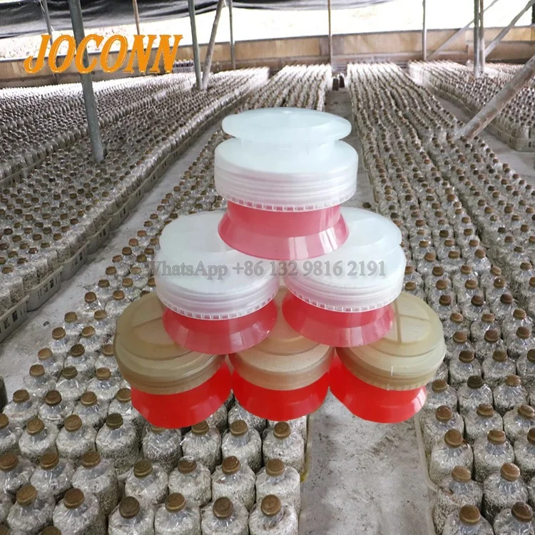 Professional Supplier Mushroom Grow Bags Cap And Ring Mushroom Bag Filter Caps Mushroom Embryo Making Machine