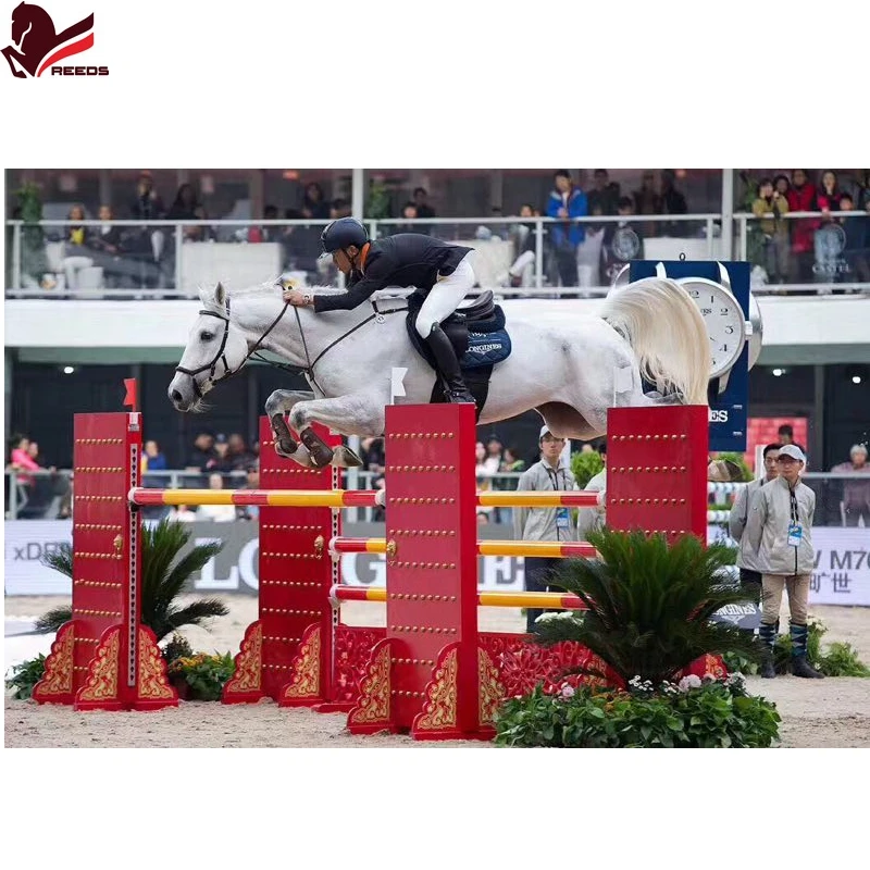 Seahorse sponsor horse show jump