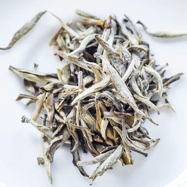 Tea Bag Jasmine Bai Hao Yin Zhen White Silver Needle for Breakfast Factory Supply