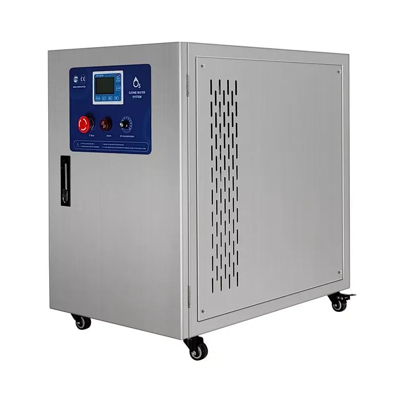 30 g aquaculture water disinfection ozone water system built in oxygen and ozone destructor and mixing tank ozone generator