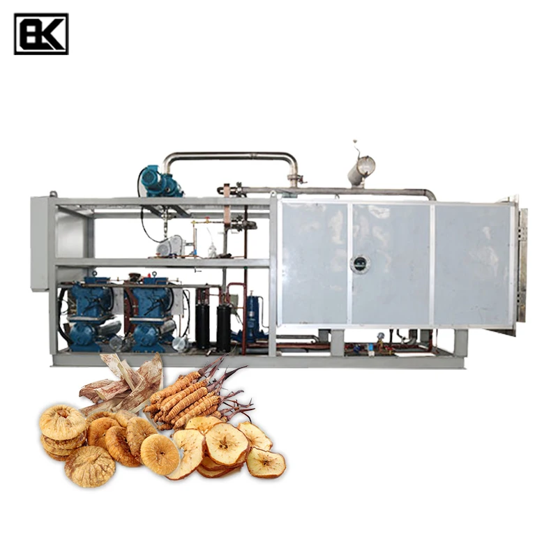 Manufactory Wholesale high working efficiency lyophilized in situ sublimation condensation home use freeze dryer
