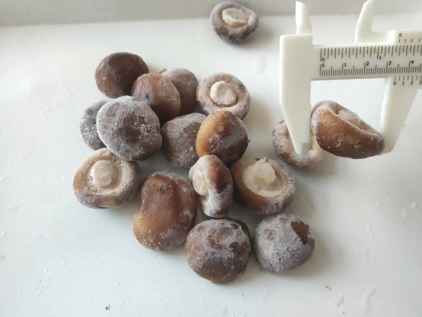  Новый Урожай вкусные белые замороженные грибы шампиньон Замороженные шиитаке