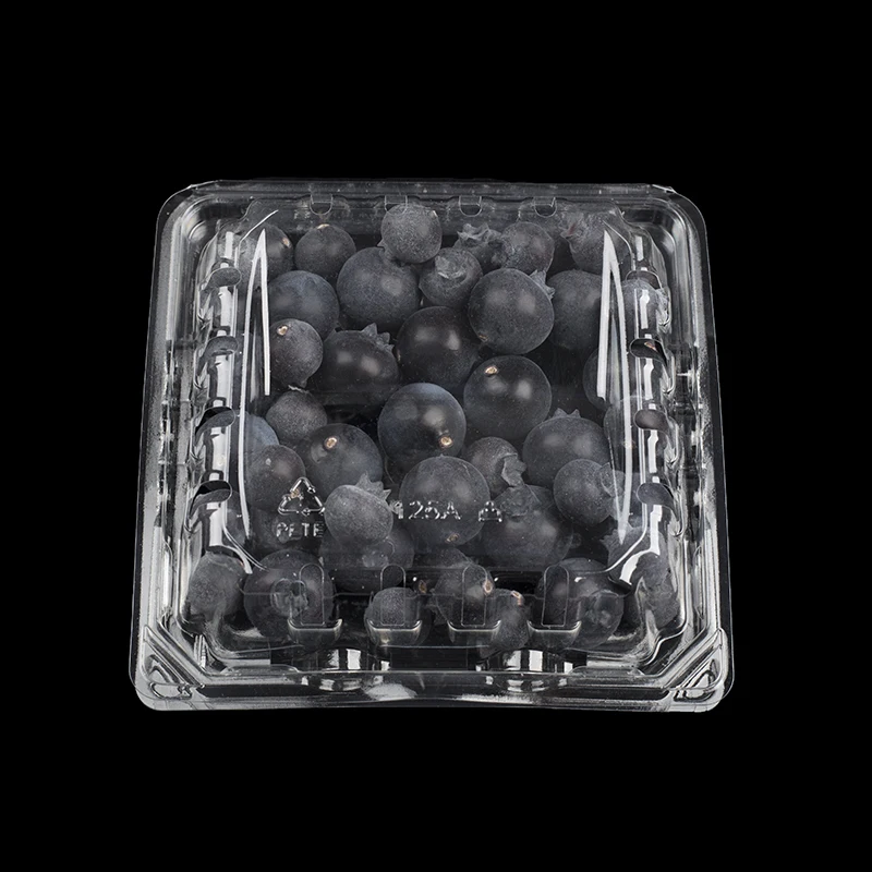Custom Container Packaging Fresh Fruit Plastic Food Blister Box Goods Fruits Blueberry Packing Cherry Boxes With Gaps