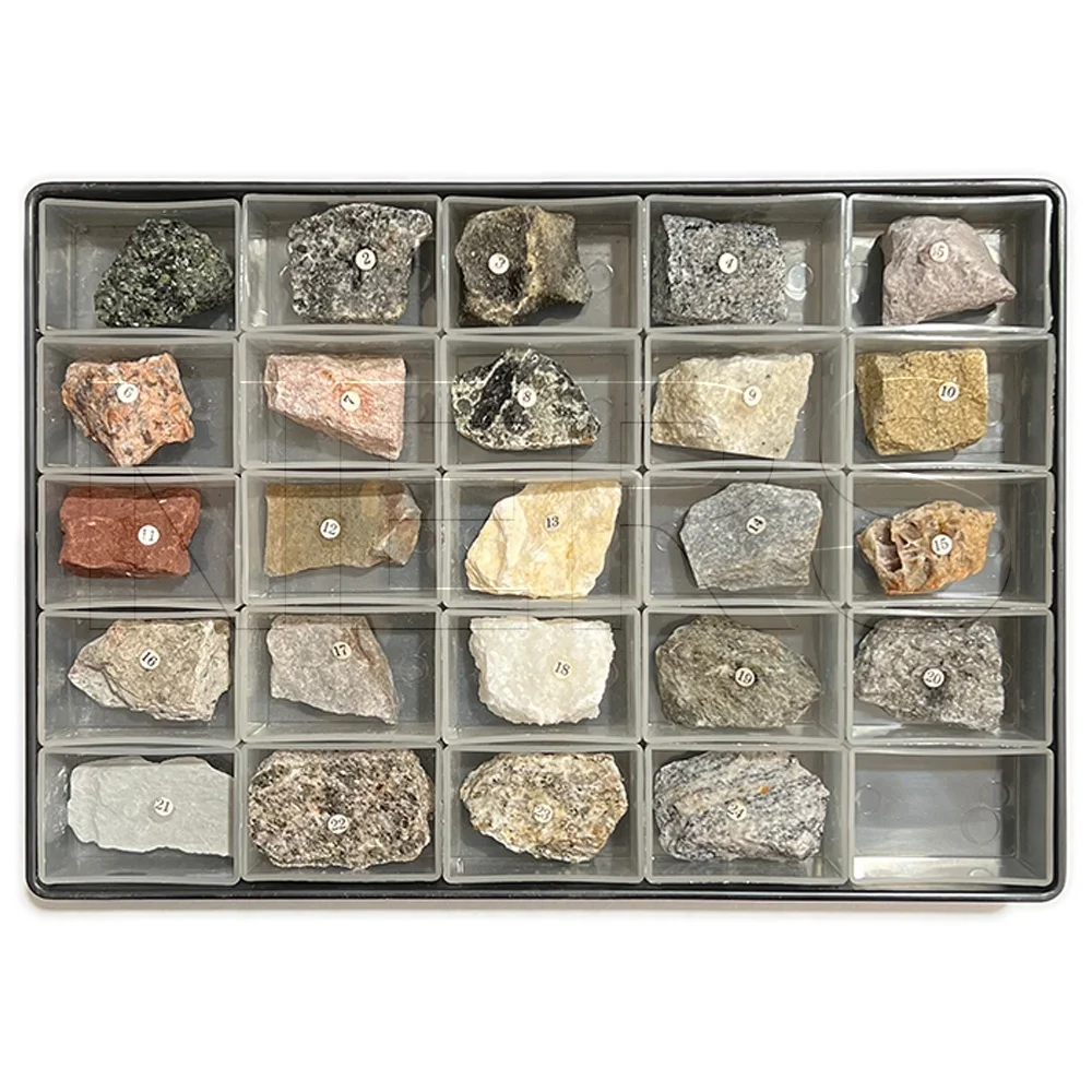 NERS Geography Educational Equipment Minerals of 3 Rock Types 24pcs/set Rock Samples
