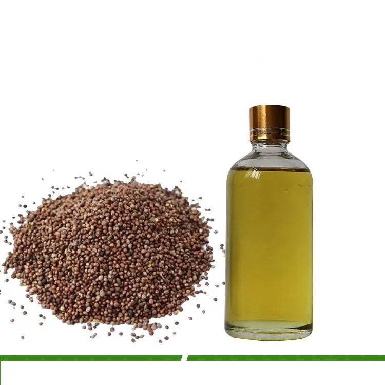 Organic Cold Pressed Perilla Seed Oil Omega 3 Fatty Acid Alpha Linoleic Acid (ALA) Massage Oil Manufacturer