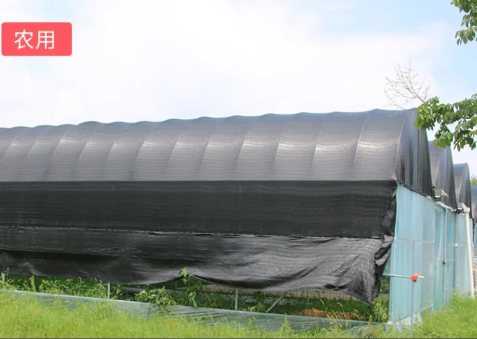 Sun shade net for horticultural land for growing vegetables