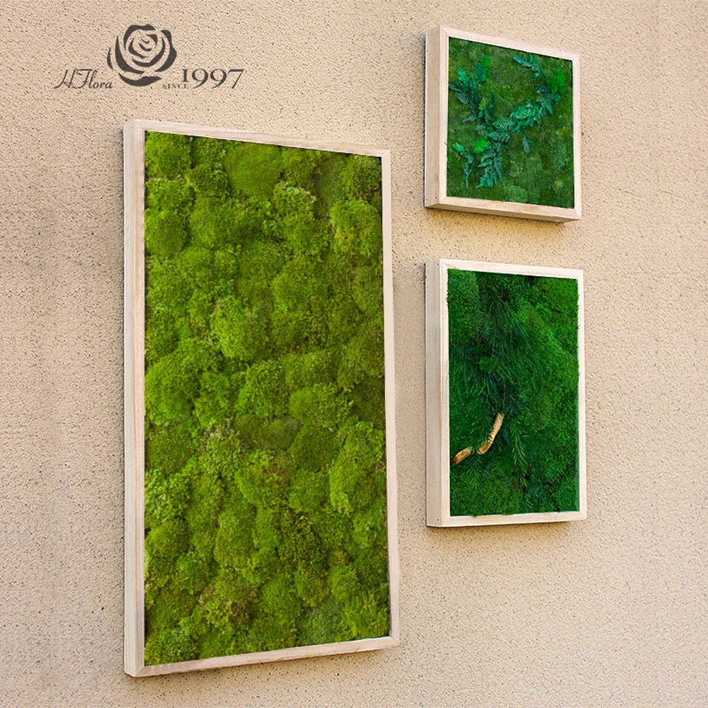Hfloral Moss Wall Panel Decor Real Preserved Moss Natural Green Wall Art Moss Frame Black or White