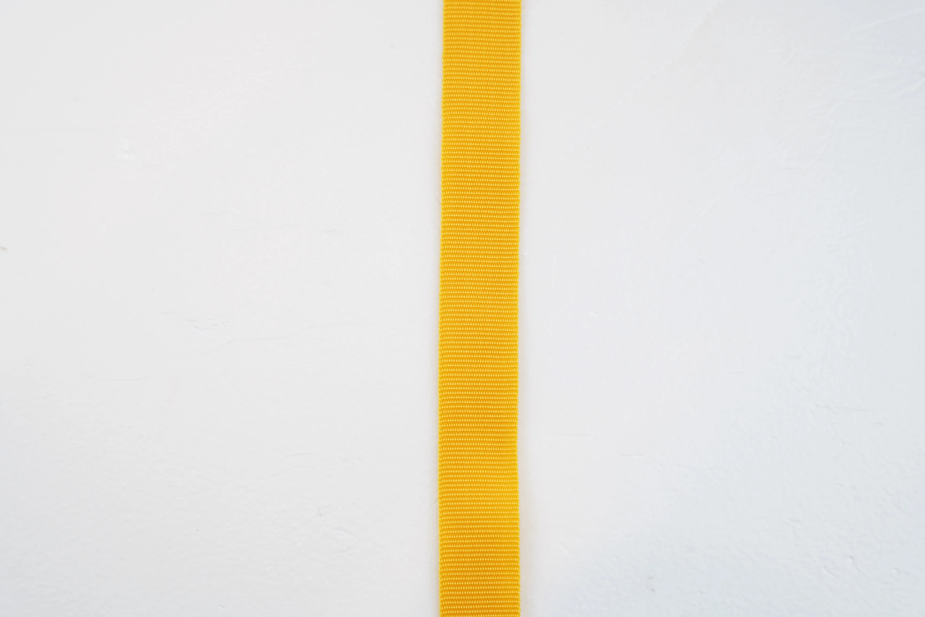 High Quality and wear-resisting PP Plain Webbing belt for textile accessories