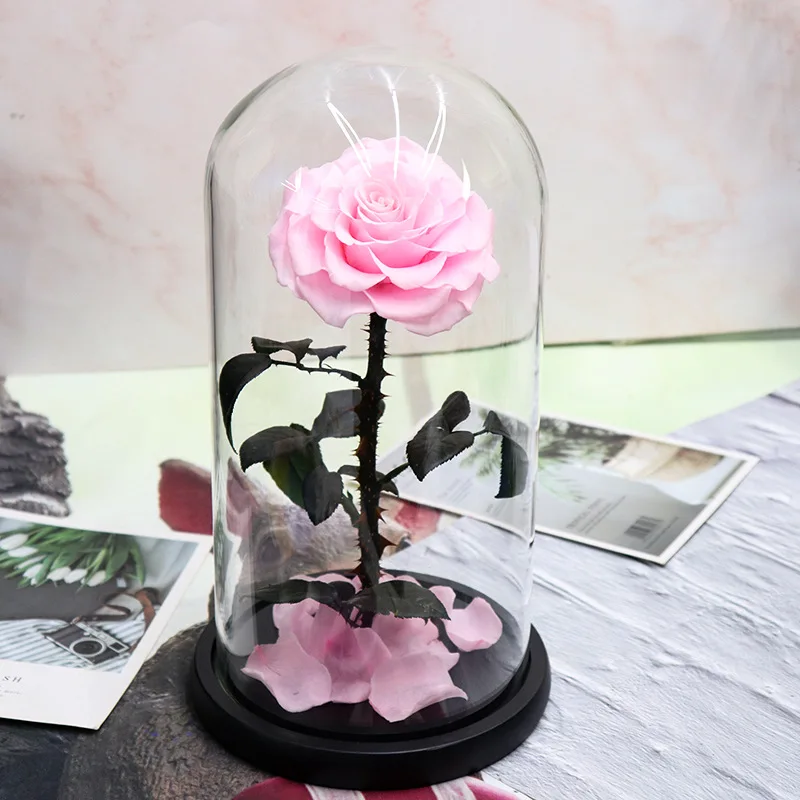 Wholesale Price beauty and the beast roses preserved roses in glass dome