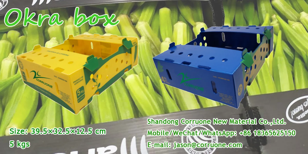 Corruone foldable waterproof Fluted Polypropylene Correx Storage Box PP fresh fruit asparagus packing delivery box container