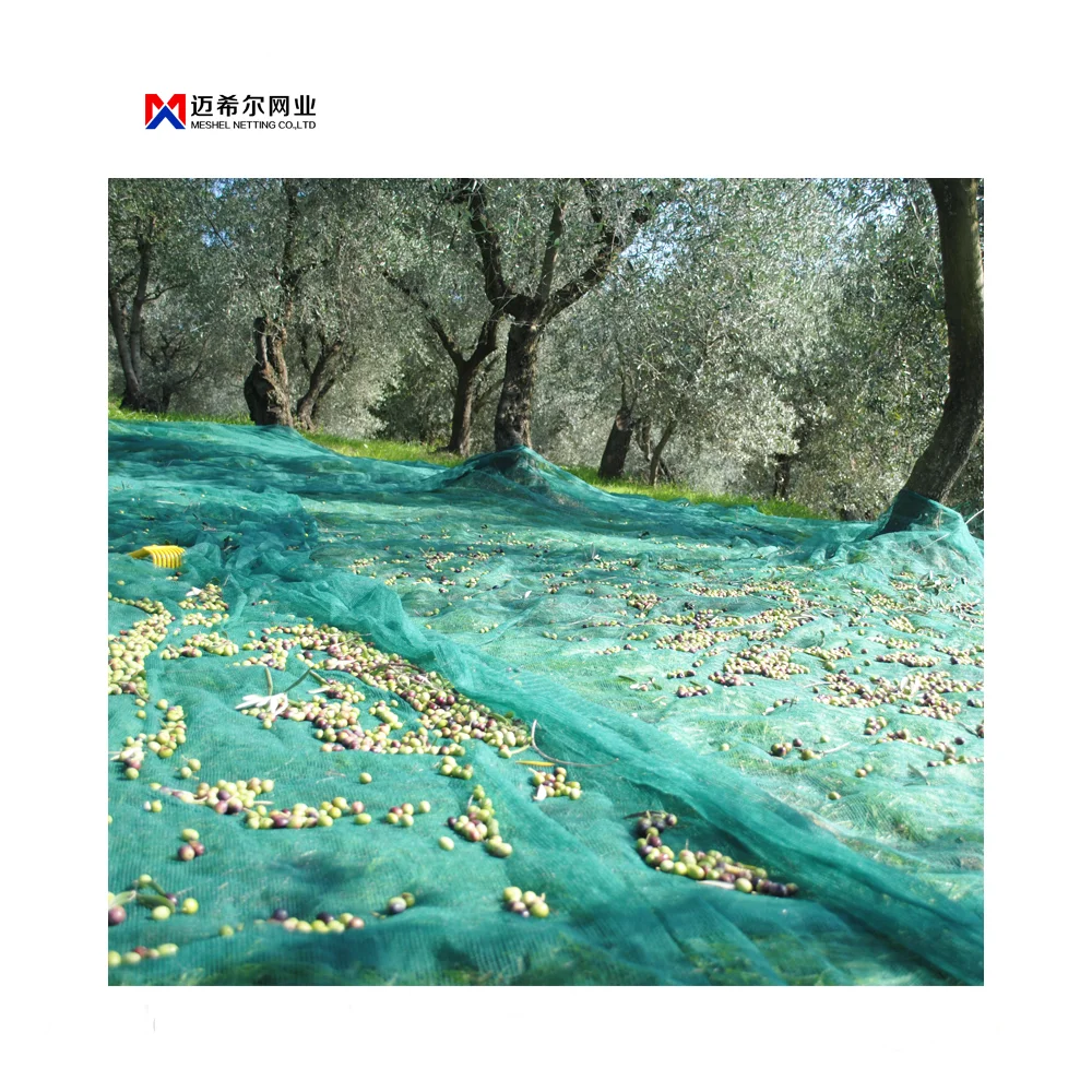 DT-BN   Agricultural use net Olive net Good quality dark green olive net for olive collection