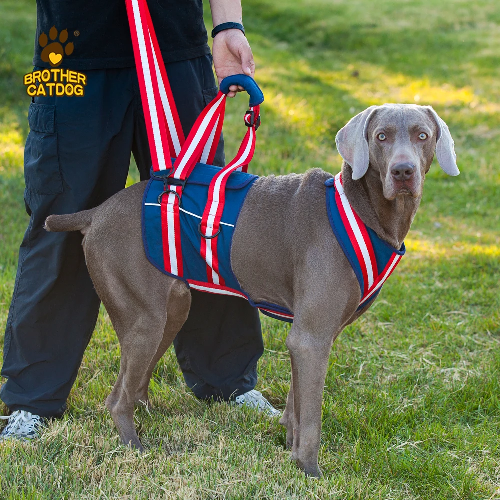 Pet product accessories   old,disabled, injuried dog sling harness recovery auxiliary belt