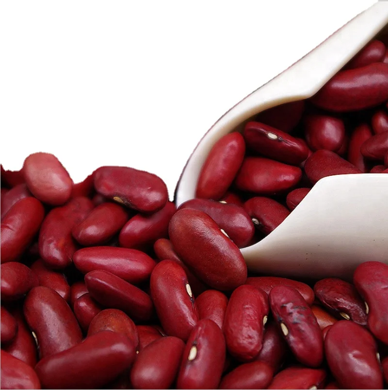 2022 New crop Dried Dark Red Kidney Bean