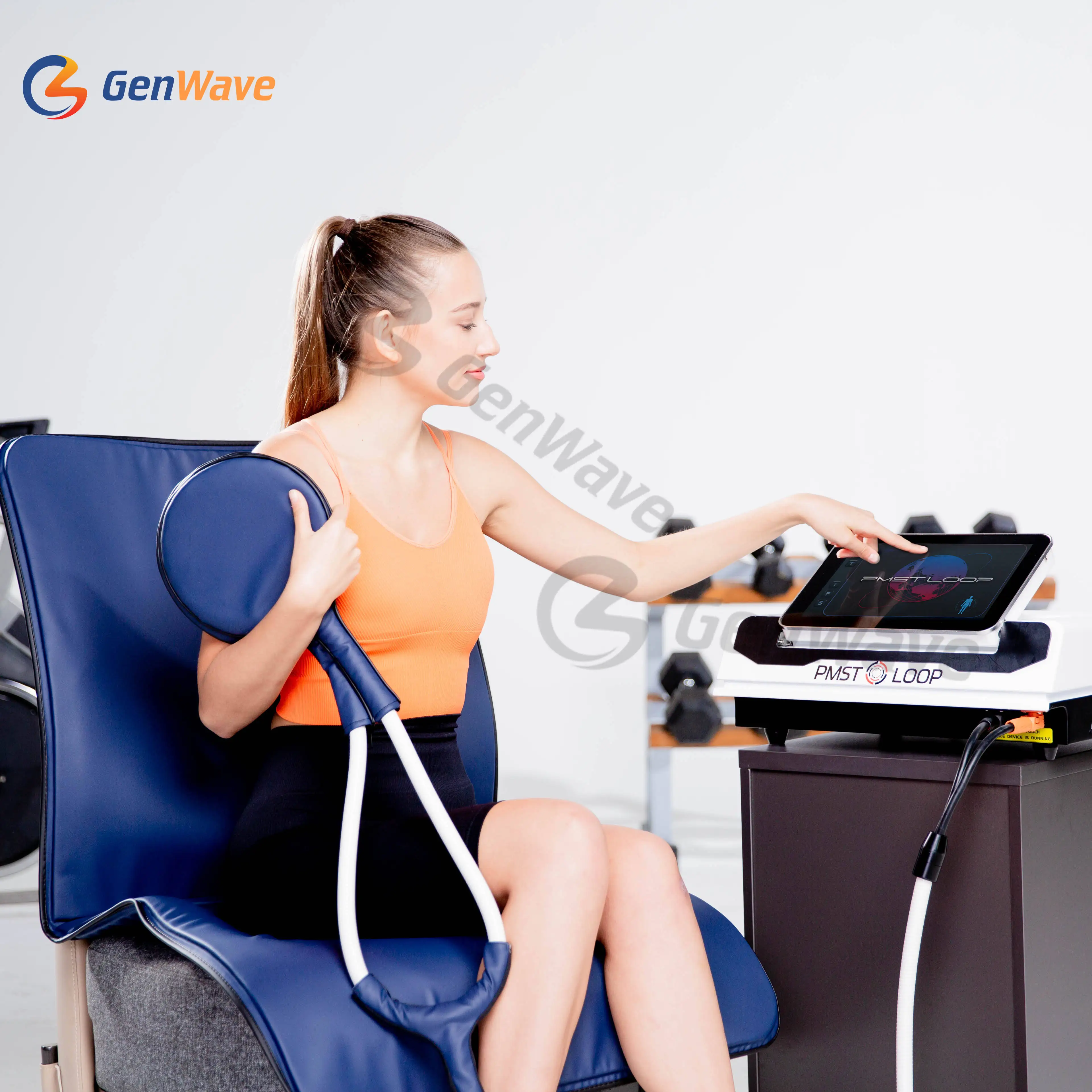 PEMF Equine And Human Pain Relief Machine Pulsed Electromagnetic Field PMST LOOP PRO MAX Equine LOOP Magnetic Therapy Machine