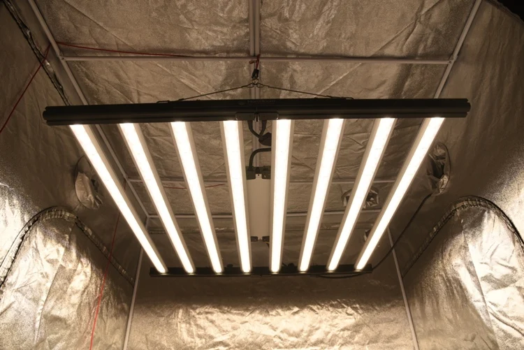 Best sellers in US vertical farming full spectrum led grow lights 1000w grow equipment