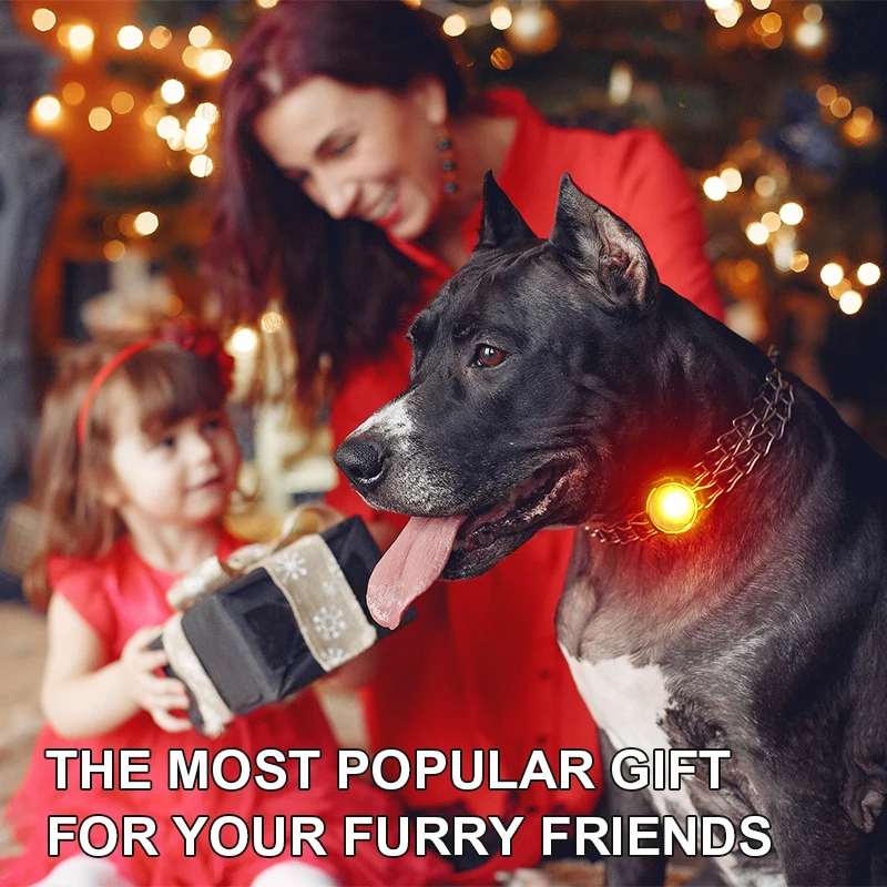 Night Walking Safety Waterproof Rechargeable Light Up Clip On Pet Harness Leash Collar Glowing Pendant LED Dog Light