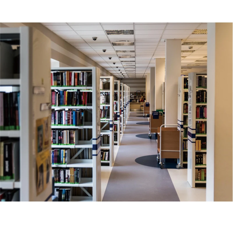 Modern Heavy Duty Double Side Iron Bookshelves School Library Bookshelf