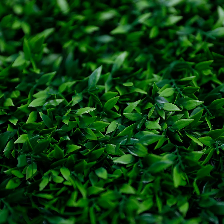 Chinese Professional Manufacturer Artificial Fence Super Green Wall