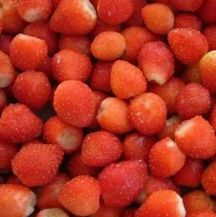 Wholesale China frozen strawberries Hongyan AM13 sweet charlie Honey price for IQF  frozen strawberries