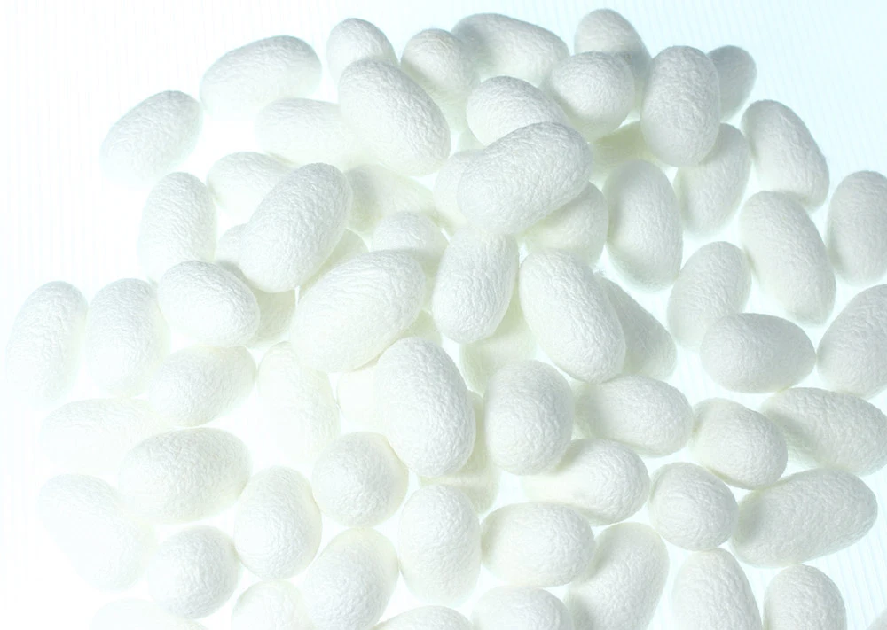 Adult Health Plant Extract Japan Silk Sports Supplement Powder