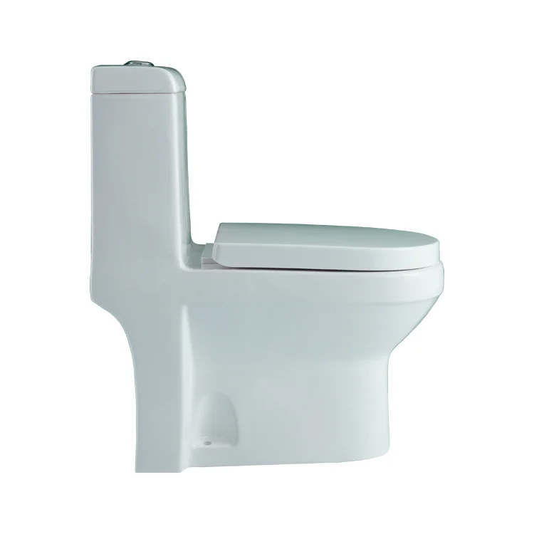 WDSI toilet down toilets canada toilet water